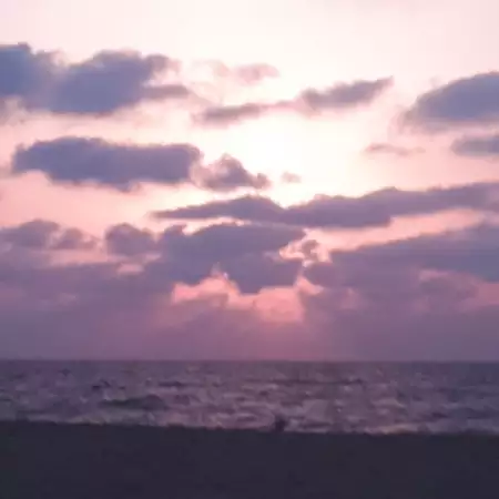 משה, 40Хайфа 
