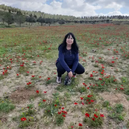 רוזי, 71Беэр Шева 